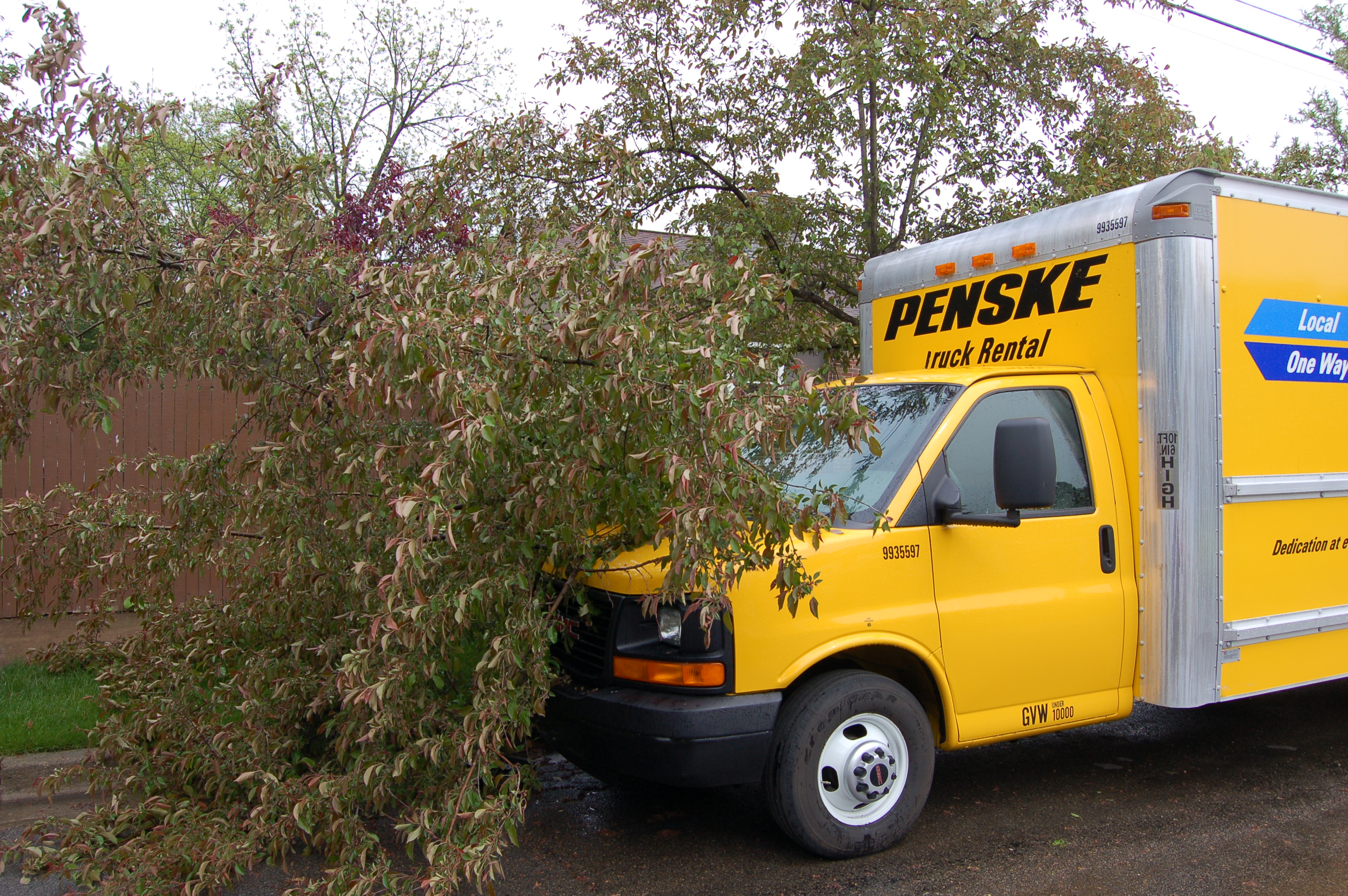 05-21-08  Response - Tree On Truck
